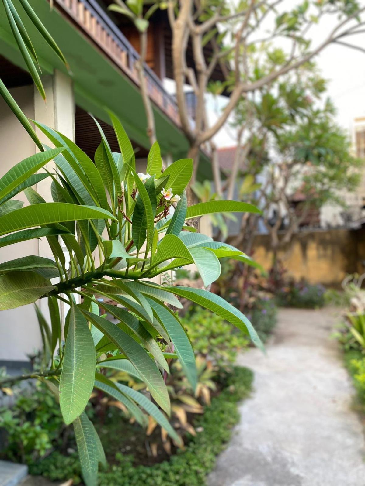 Putra'Lebah Amed Guest House Exteriér fotografie